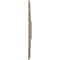 Ekena Millwork Eris Medallion (Canopies up to 9 7/8"), 18"W x 18"H x 3 1/2"ID x 1 1/8"P, Gobi Desert Crackle CM18ERGDC - alternate 4